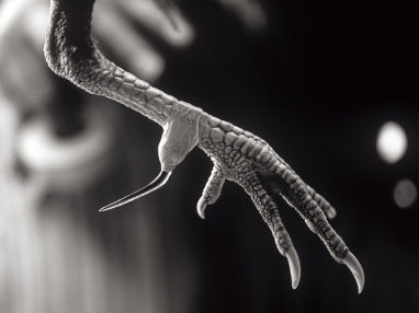 [the.straydog.gallery: fighting for style]