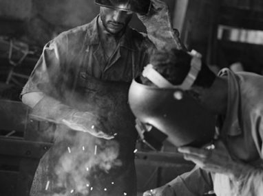 [the.straydog.gallery: working]