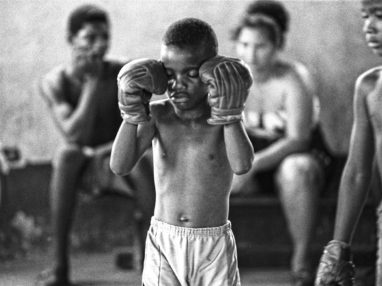 [the.straydog.gallery: boxing]