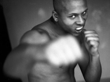 [the.straydog.gallery: boxing]